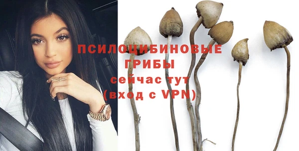 гидропоника Покачи