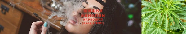 jwh Аркадак