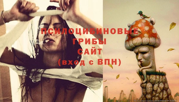 каннабис Арсеньев