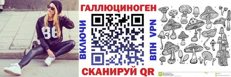 где найти   Ливны  Галлюциногенные грибы Psilocybe 